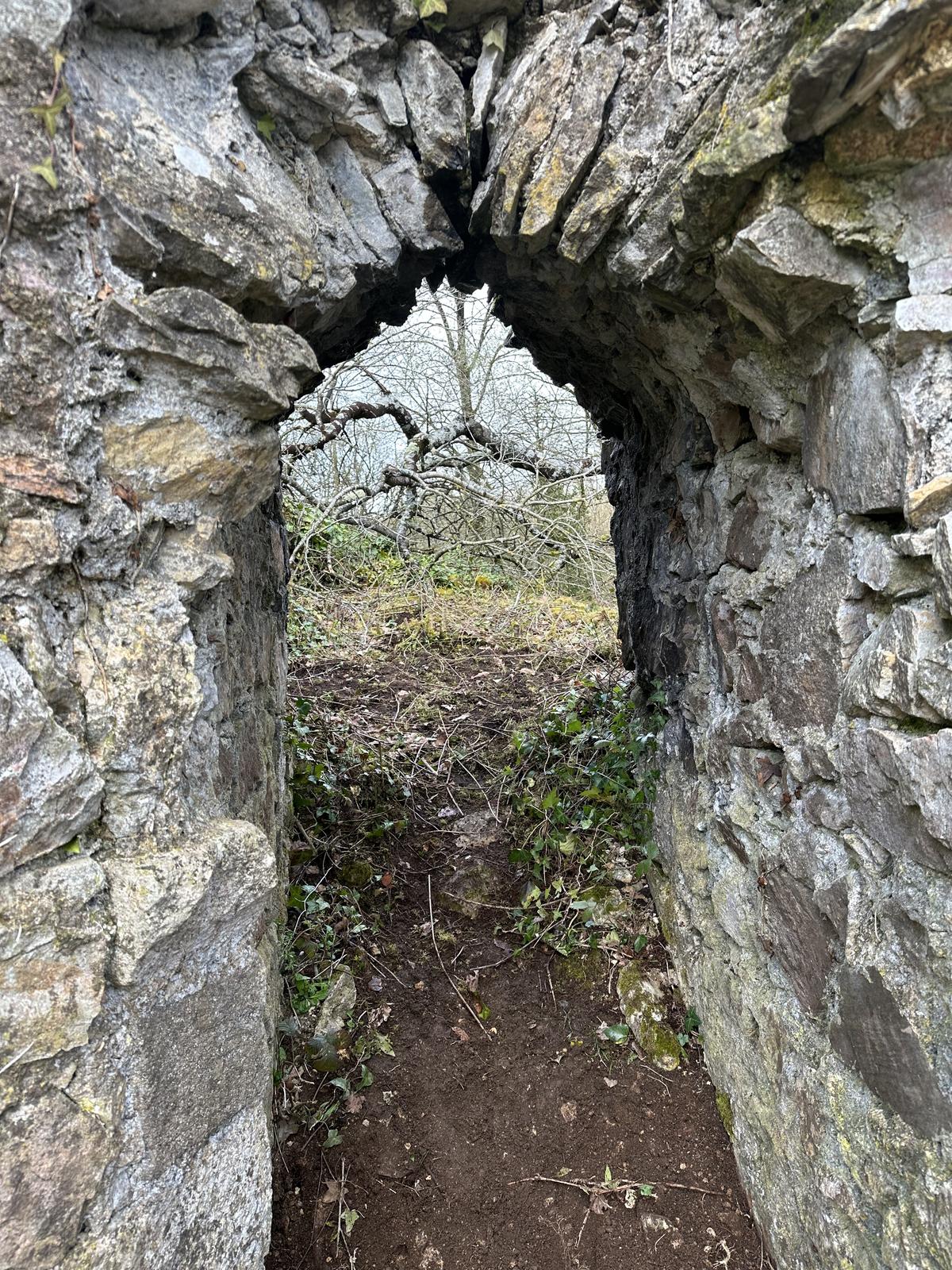Le Vieux Château des Deffays