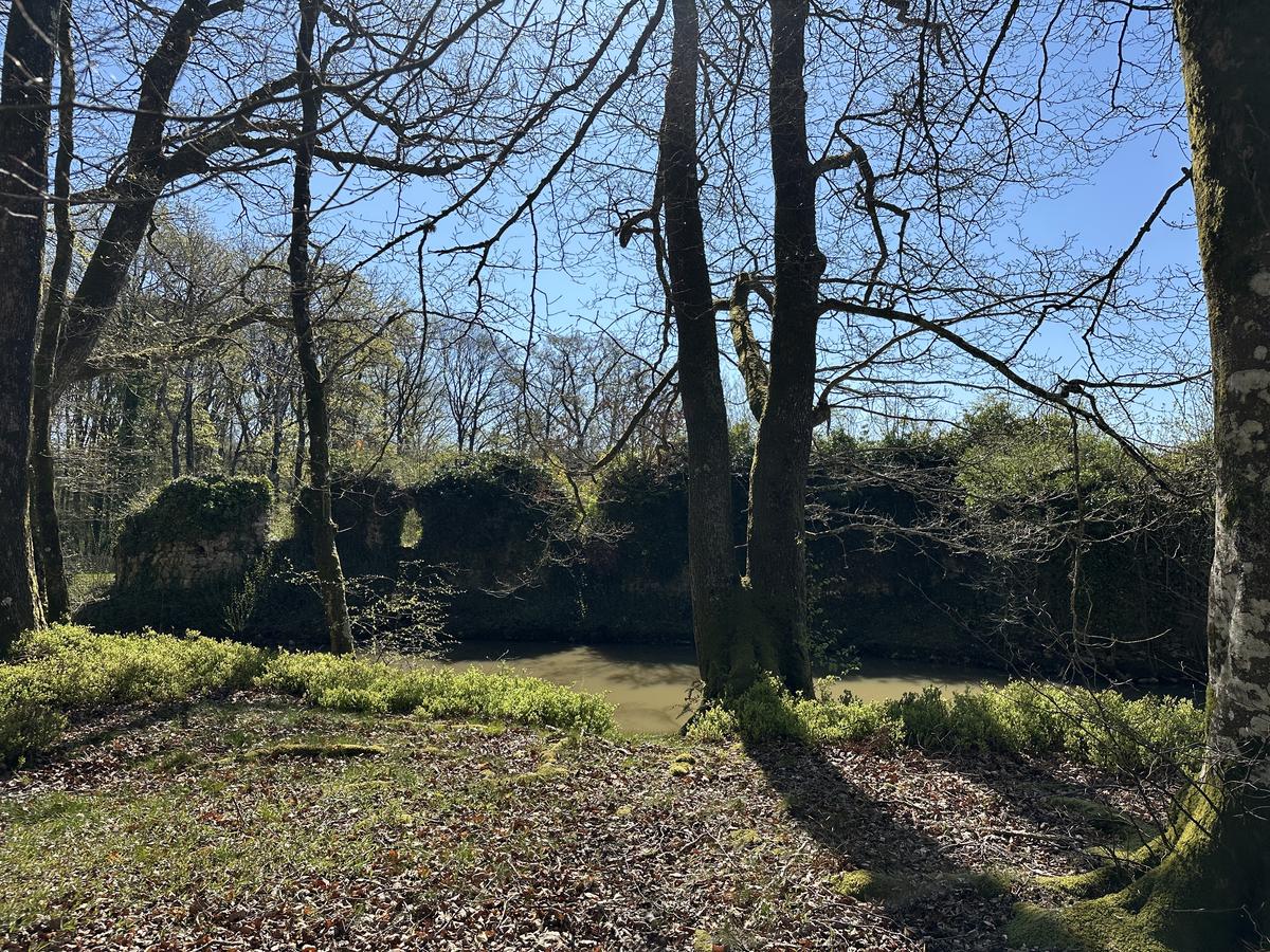 Le Vieux Château des Deffays