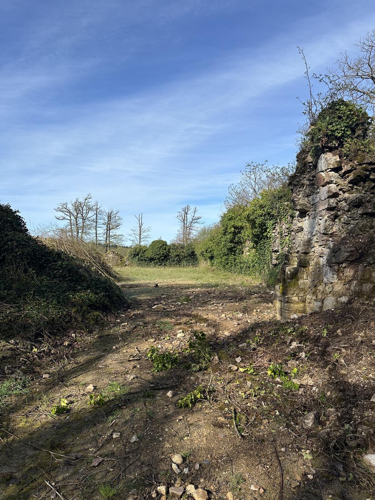 Le Vieux Château des Deffays